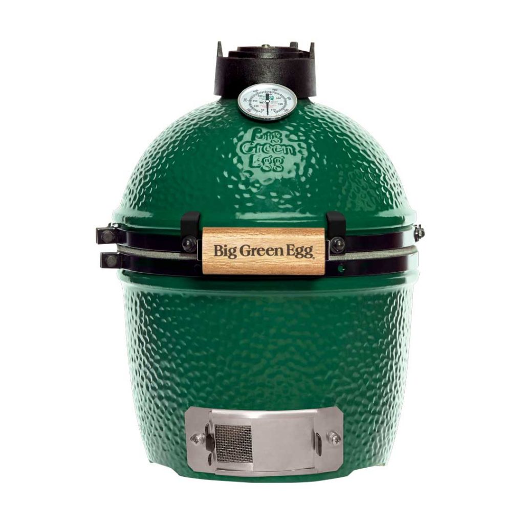 mini big green egg cooker