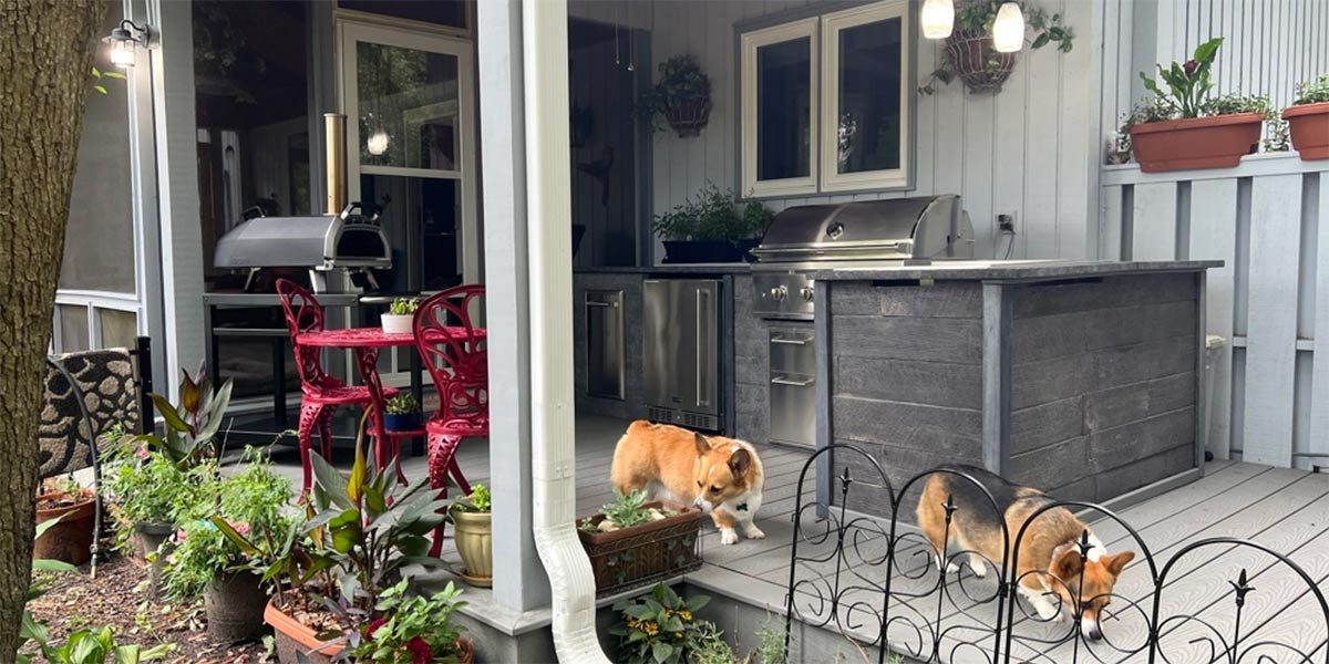 Corgi dogs in front of l shaped outdoor kitchen on deck.