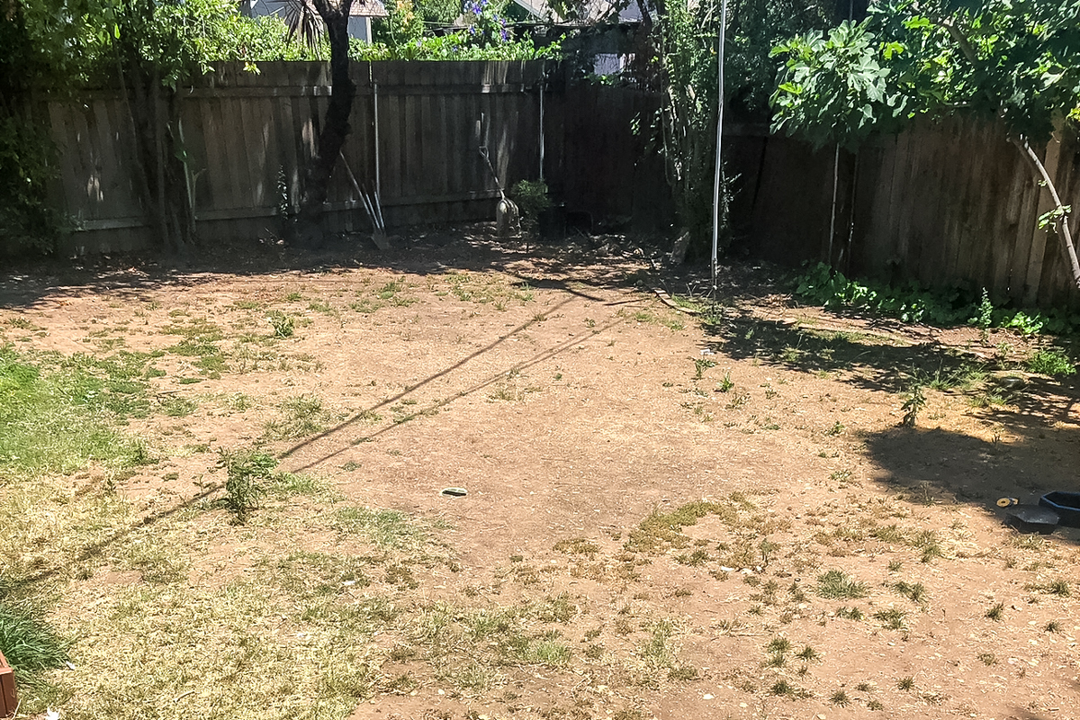 empty backyard with dirt and wooden fencing