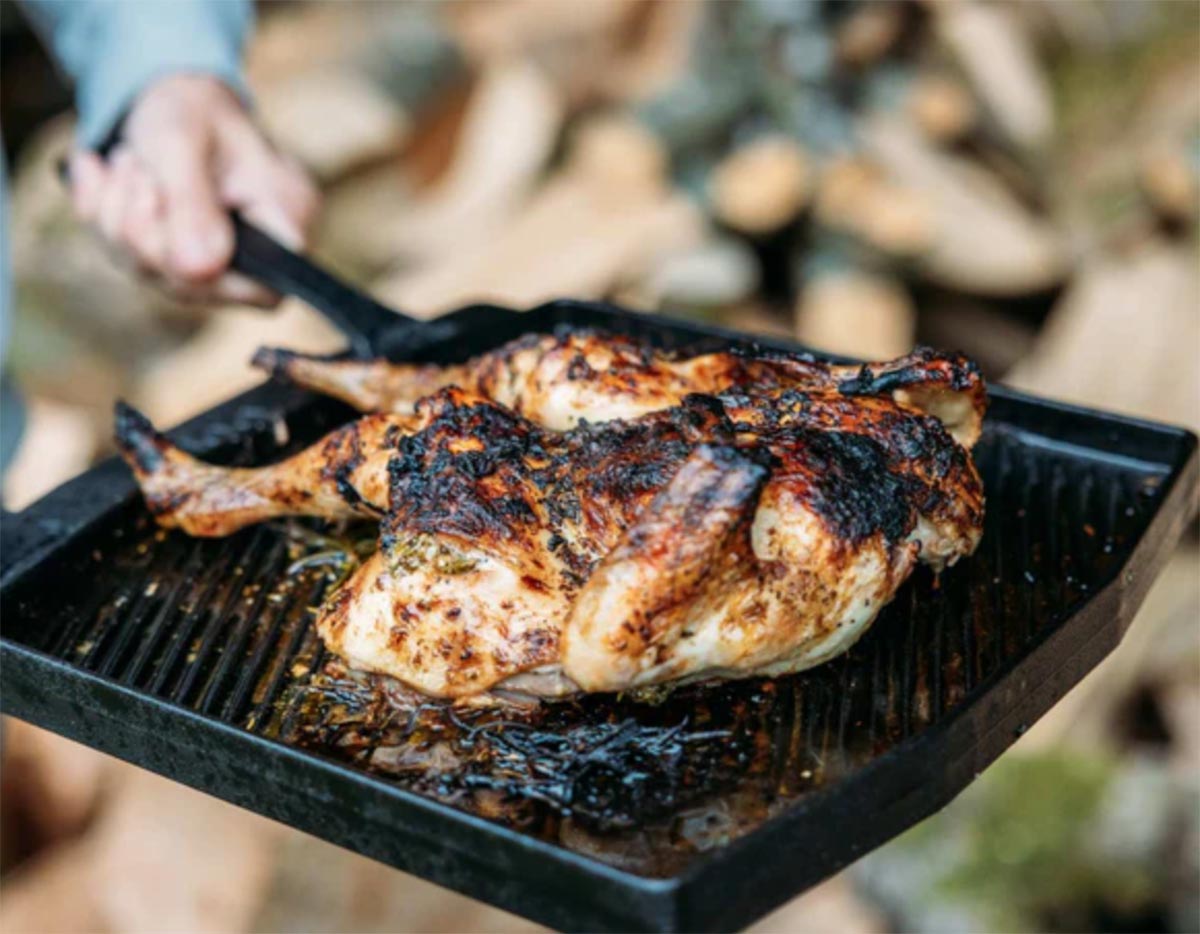 spatchcock roast chicken on skillet