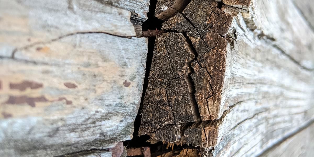 splitting and swelling wood