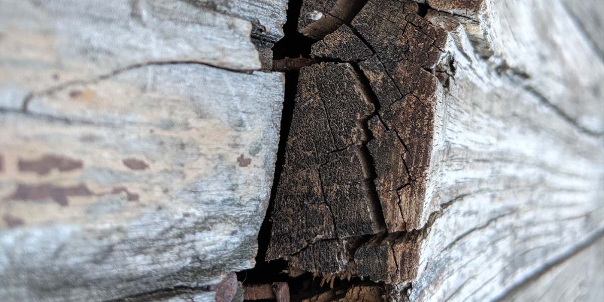 wood outdoor kitchen frame warping due to moisture exposure