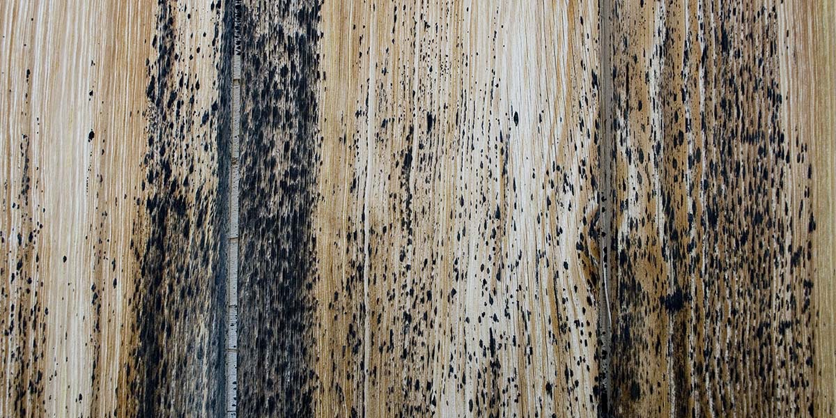 Wood outdoor kitchen frame with mold due to moisture